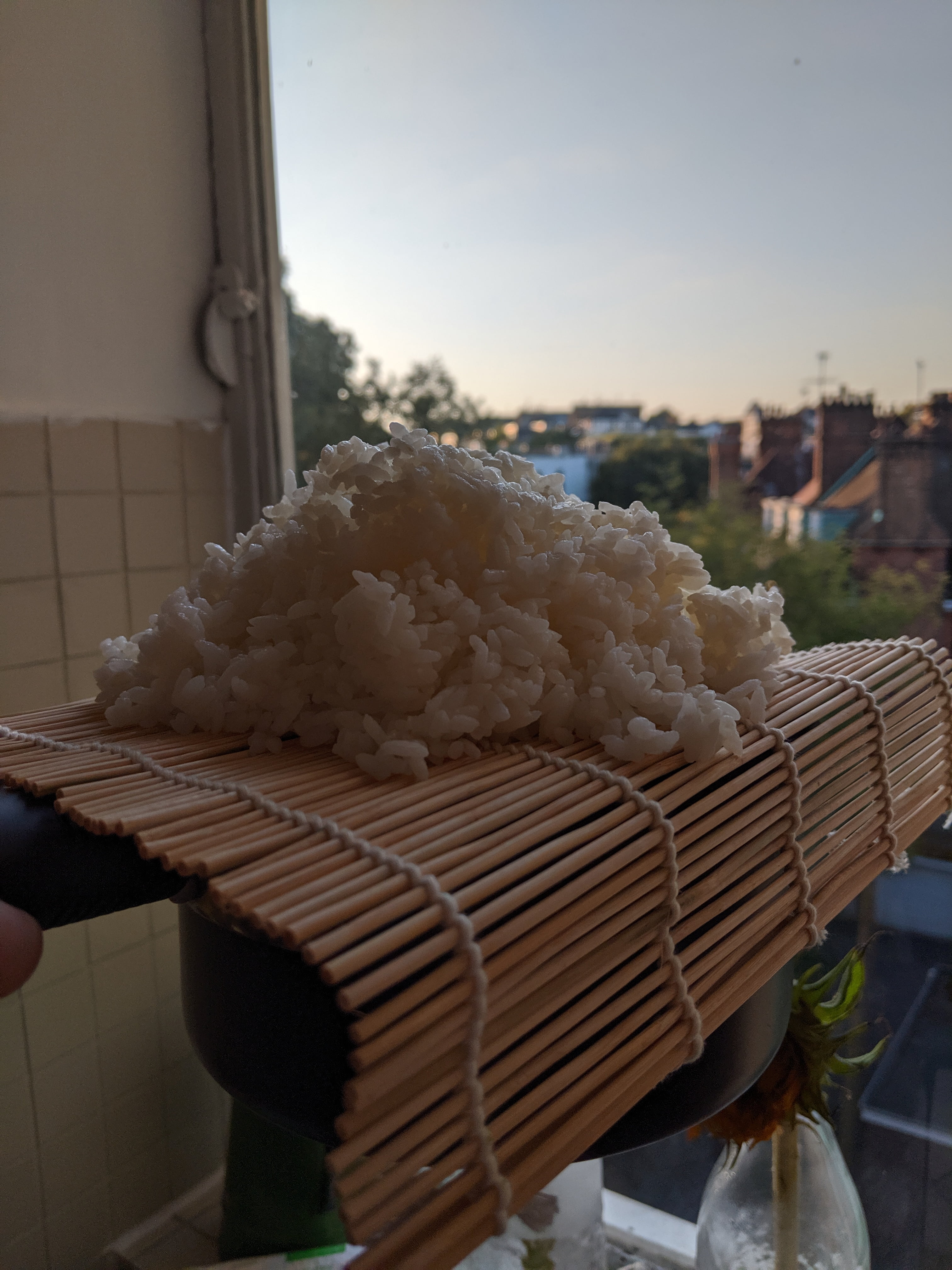 Hur förvarar man sushirisrester?