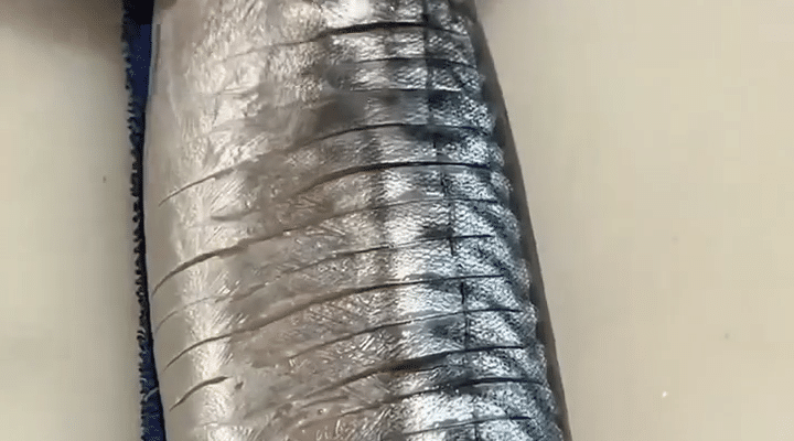 Att njuta av traditionen: Den dolda njutningen av Saba Bo Sushi